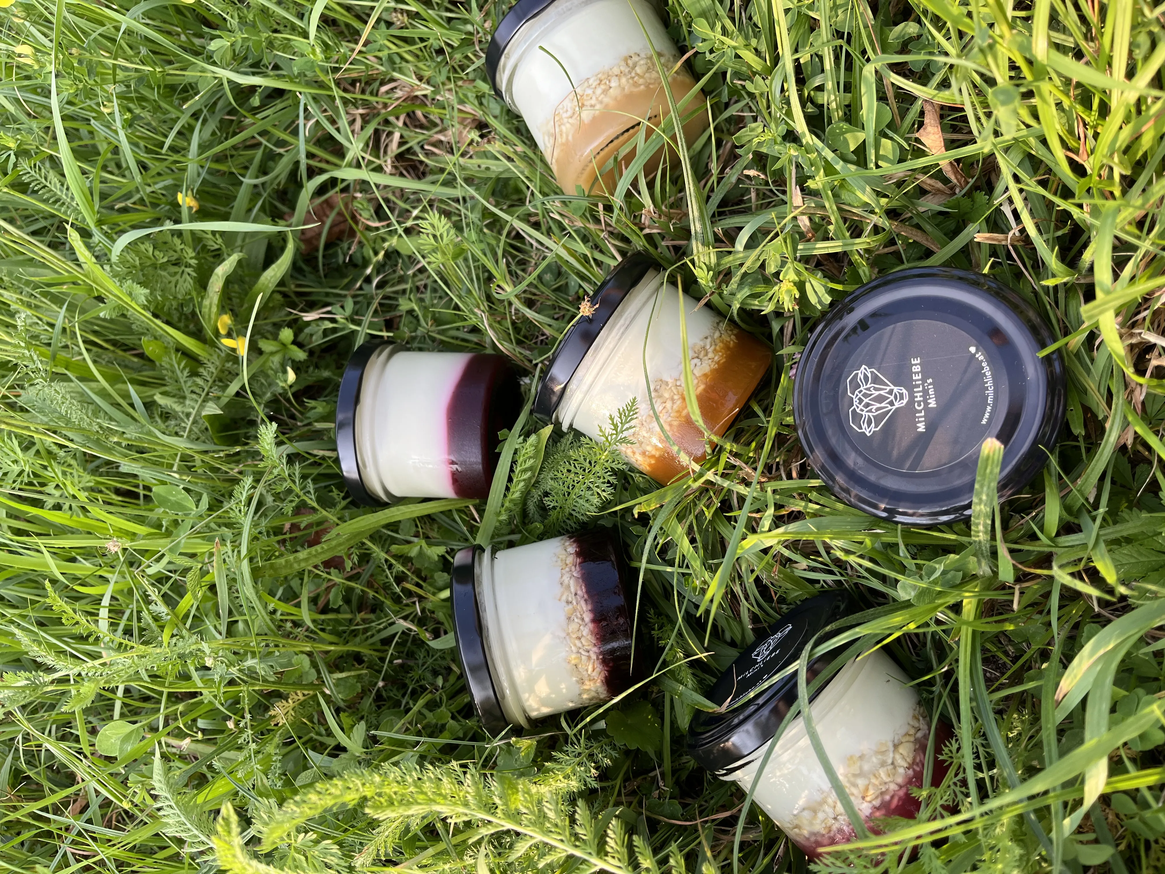 Mini`s